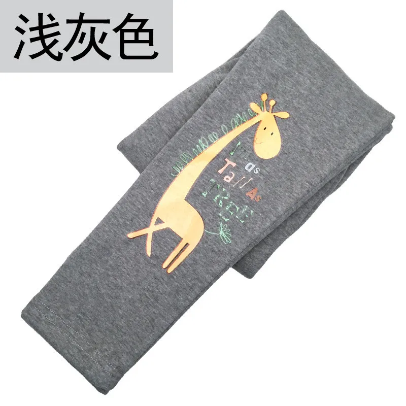 9221492859_1801480236