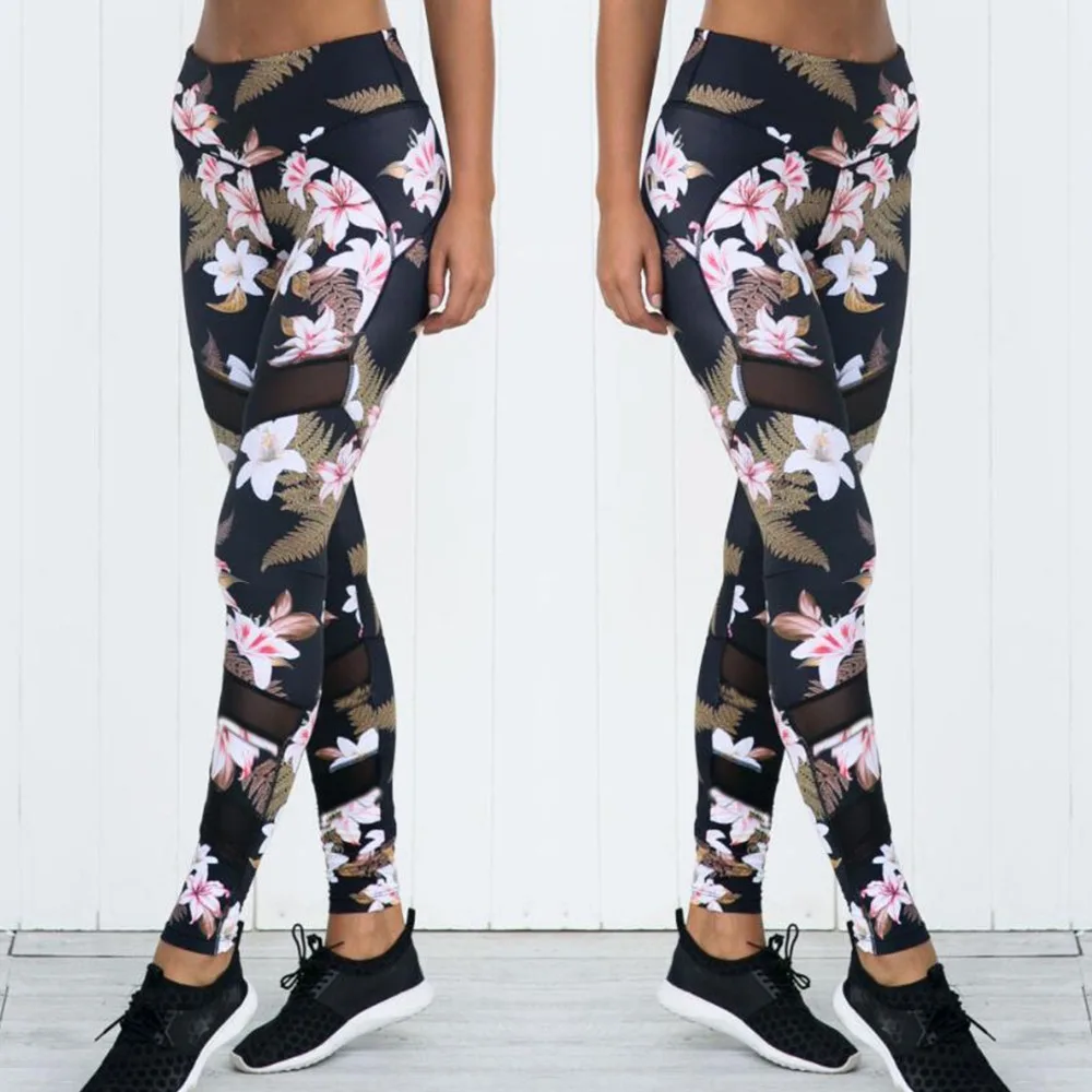 13534363072_468580425