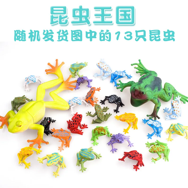 Модель лягушка модель Bullfrog Hyla Torrid Zone Hyla рыба океаны модель животного модель насекомого