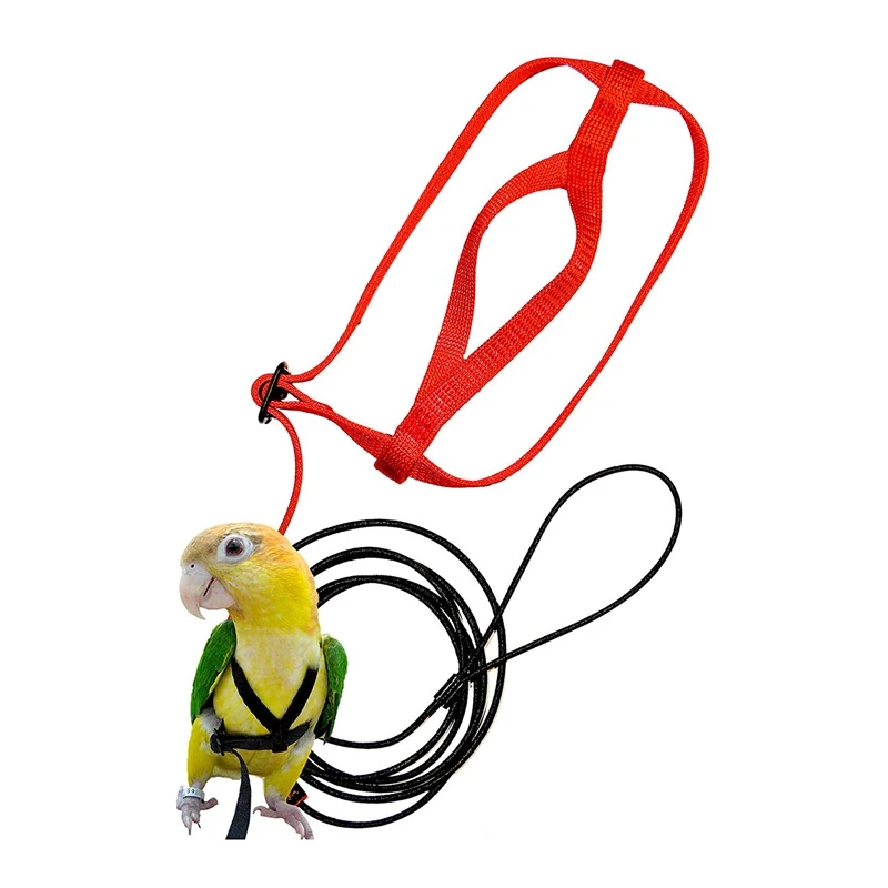 Arreios do pássaro-coleira do pássaro para conures-corda de náilon do pássaro da trela do papagaio ajustável, anti mordida apropriada para todos os tipos de papagaios pomba