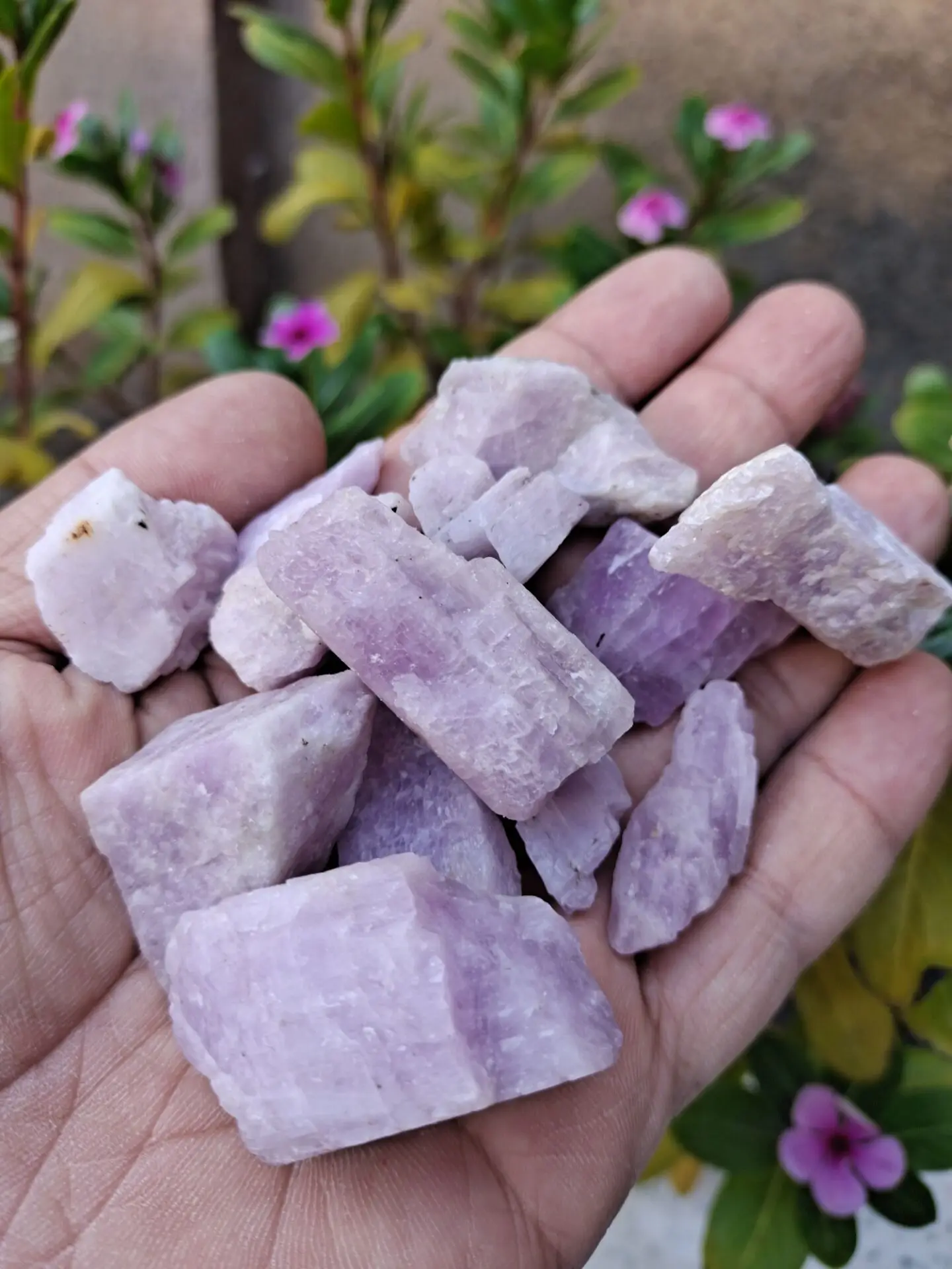 50g Natural Purple Spodumene Kunzite Stone rough Stone Crystal Specimen Mineral 