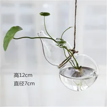 Подвесной, настенный Epipremnum Aureum, ваза для выращивания воды, креативная настенная декоративная стеклянная бутылка, прозрачная настенная ваза