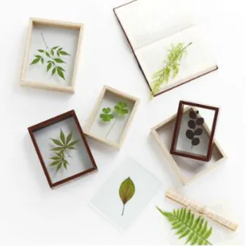 

Quality Wood Double Sided Glass DIY Frame Simple Plant Specimens Frame Home Decor Photo Frames Ornaments Decoration MJ71602
