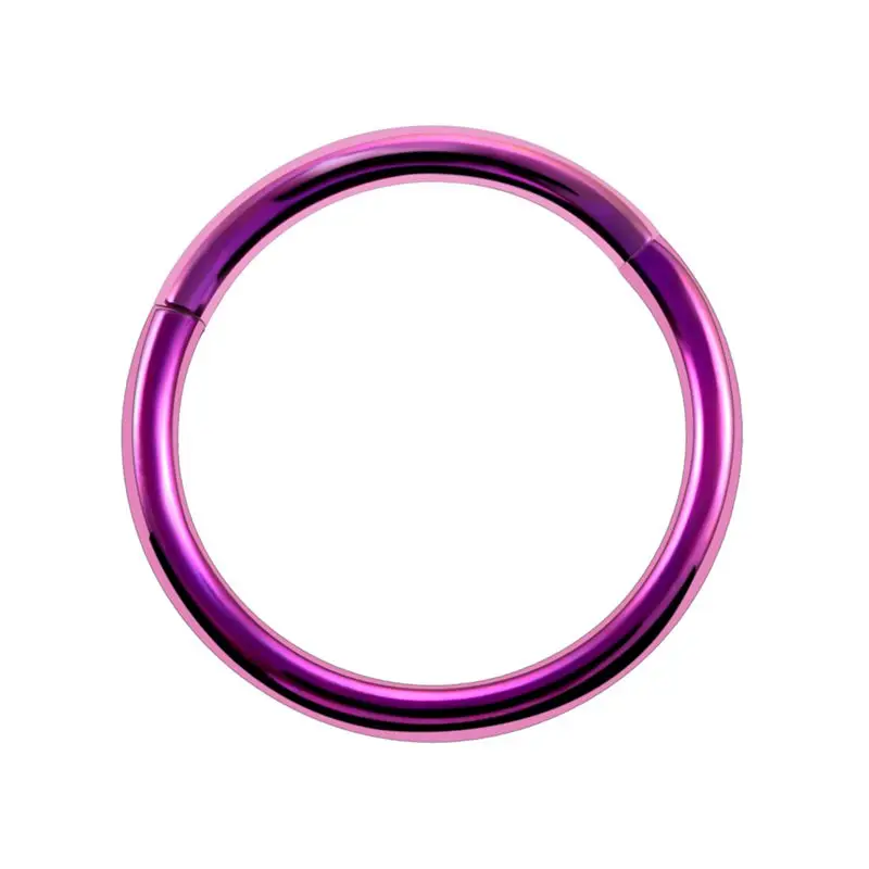 Purple 1PC G23 Titanium Hinged Segment Nose Ring 16g&14g Nipple Clicker Ear Cartilage Tragus Helix Lip Piercing Unisex Fashion Jewelry - Окраска металла: Purple