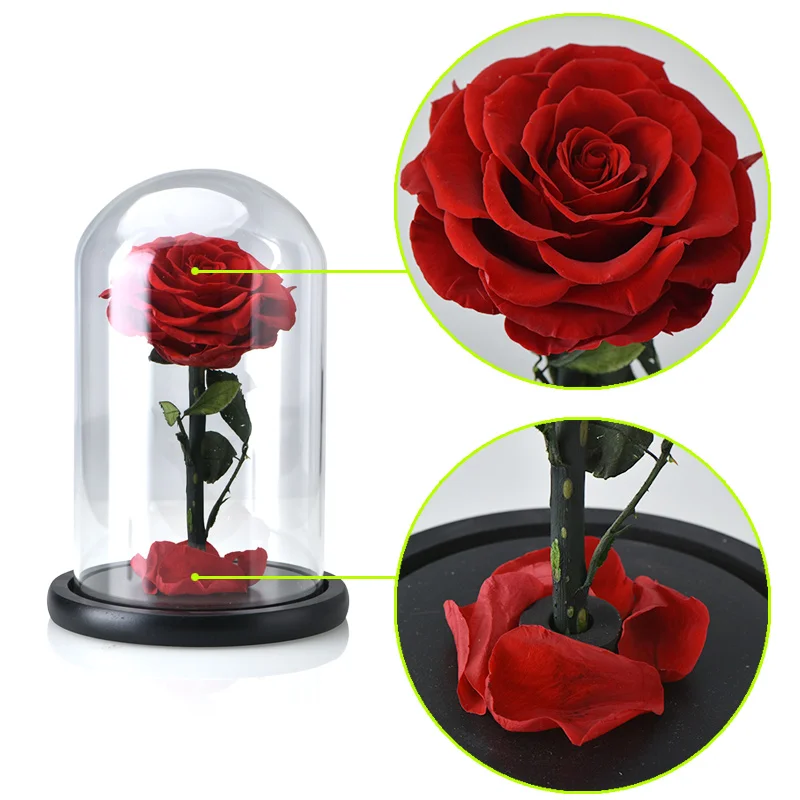 Preise 6 arten Großhandel Die Schönheit und Das Biest Frische Blumen Rot Ewigen Rosen In EIN Glas Dome Valentinstag Weihnachten Geschenk dropshiping