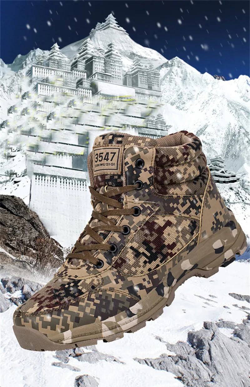 3498335331_2080451616