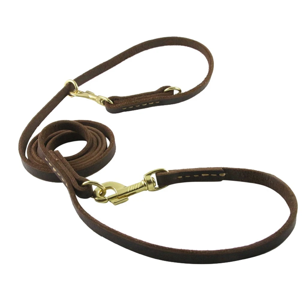 premium dog leash