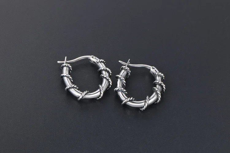 个性藤条耳环 时尚简约女生钛钢耳环耳饰 (6)