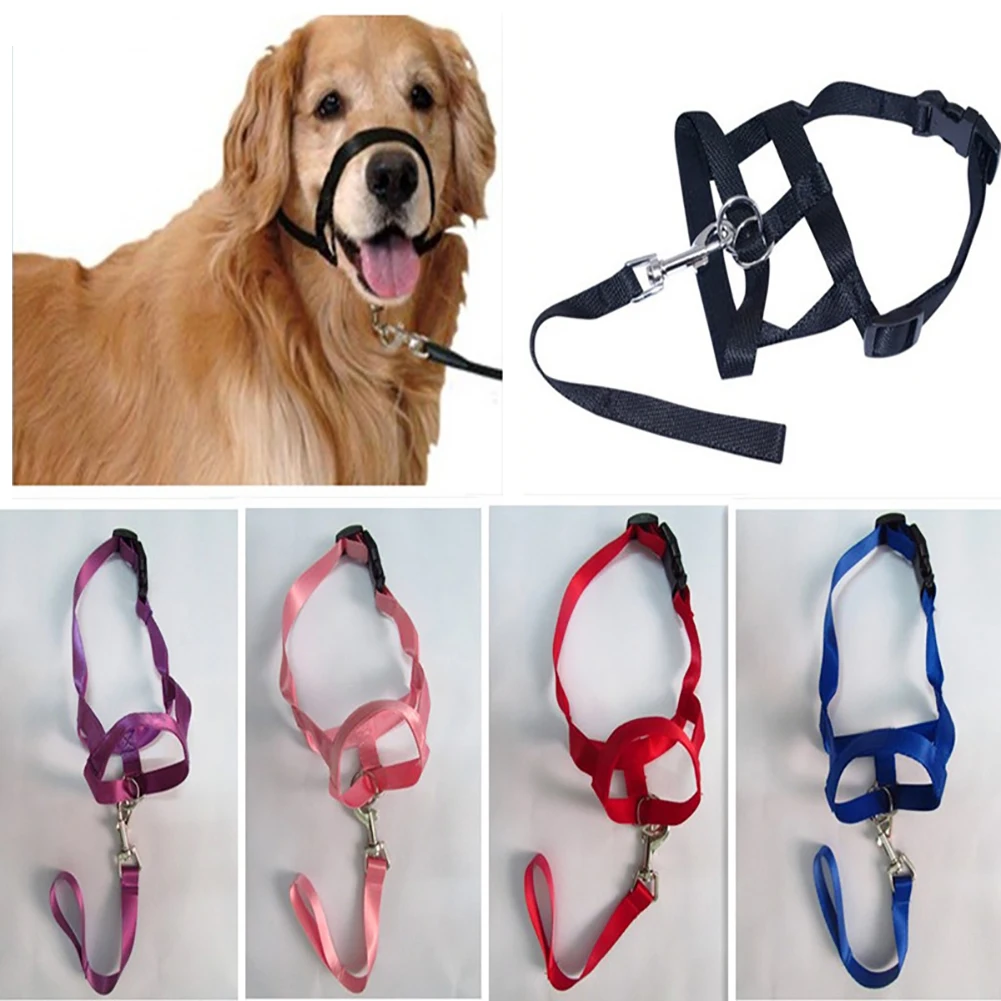 Nylon Dogs Head Collar Dog Training Halter Blue Red Black Colors S M L XL XXL Sizes