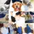 ZhangJi Efficient Pet Hair Remover Mitt/Brush Pet Grooming Glove Dog/Cat Cleaning Combs Силиконовые Массажные Перчатки Банные Принадлежности