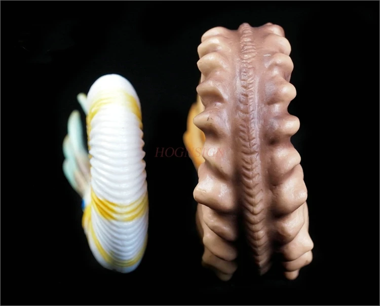Nautilus имитация раковины аквариум модель животного игрушка подводный мир пластик твердый ребенок когнитивный подарок