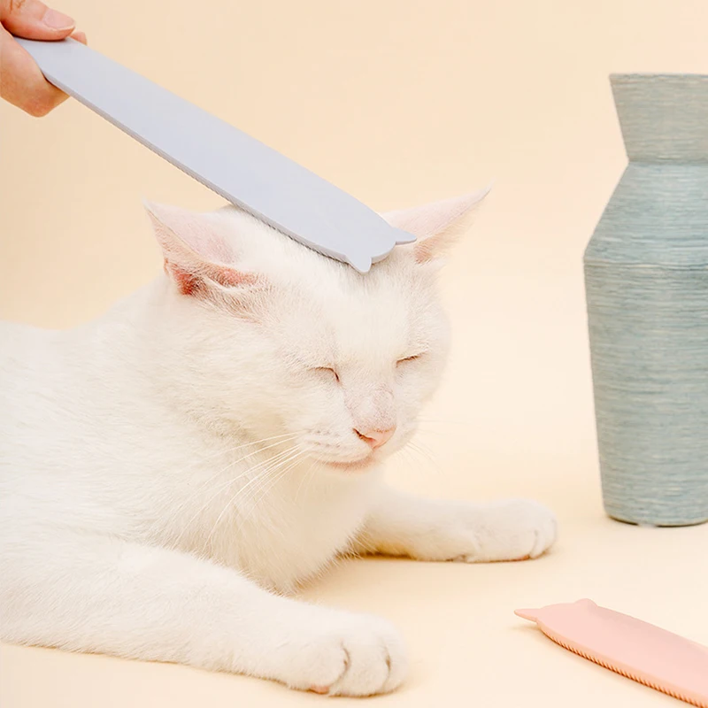 11691761289_49037481