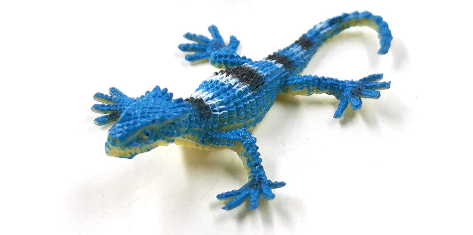 详情页-12款-彩色蜥蜴等_11