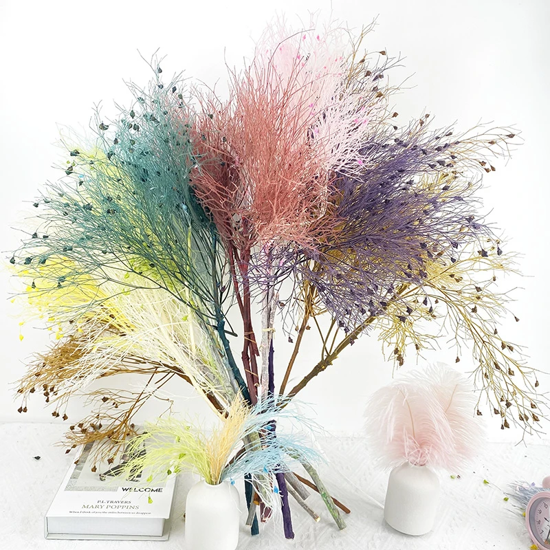 5800 Colecciones palabra clave  Últimos HD