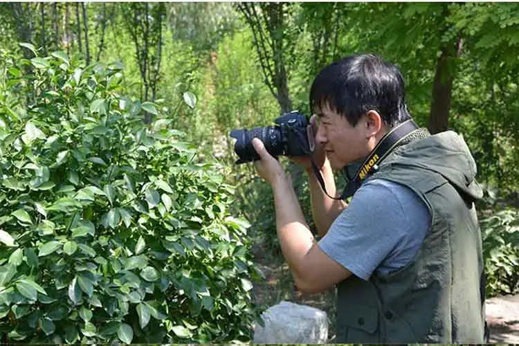Универсальный PPopographer мужской жилет с капюшоном водонепроницаемый Быстросохнущий сетчатый жилет мужской жилет без рукавов куртки с большим карманом весна-лето