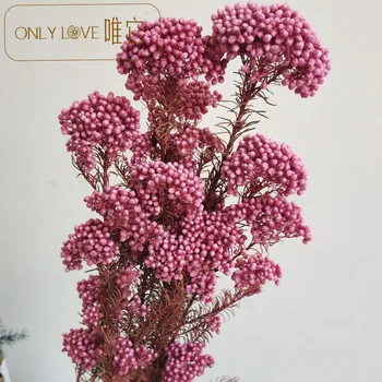 

2pcs Dry flower eternal millet flower fresh keeping material home decoration photography props farmhouse decor