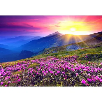 

DIY 5D Diamond Embroidery Landscape Sunrise and Purple Flower Pattern Painting Rhinestones Diamond Kits D170