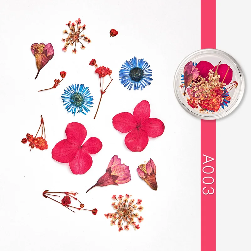 1 коробка высушенный цветок для ногтей художественное украшение 3D маникюрный лак настоящий консервированный цветочный лист смешанный натуральный цветочный стикер - Цвет: AS09175