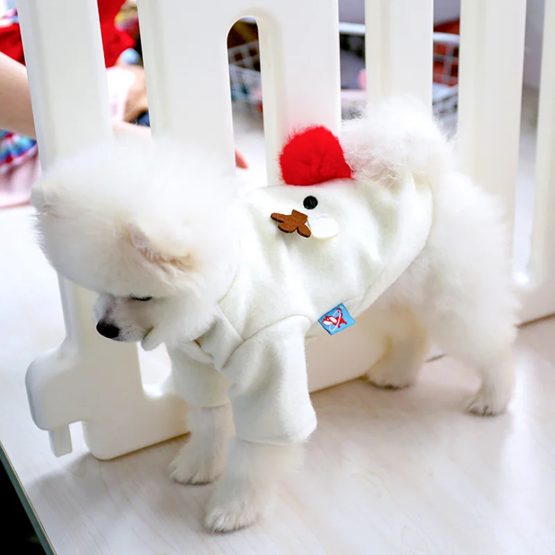 红鼻子麋鹿外套_8968