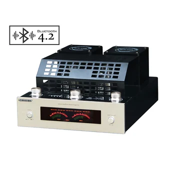 شراءAIYIMA مكبر للصوت بلوتوث فئة AB الصوت 6J4P فراغ أنبوب Hifi مكبر كهربائي 160 واط USB SD ضياع فك Modle