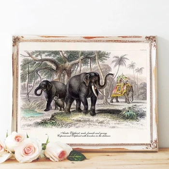 

Vintage Elephant Print Indian Elephant Animal Nature History Artwork Poster Retro Wall Art Picture Home Decor