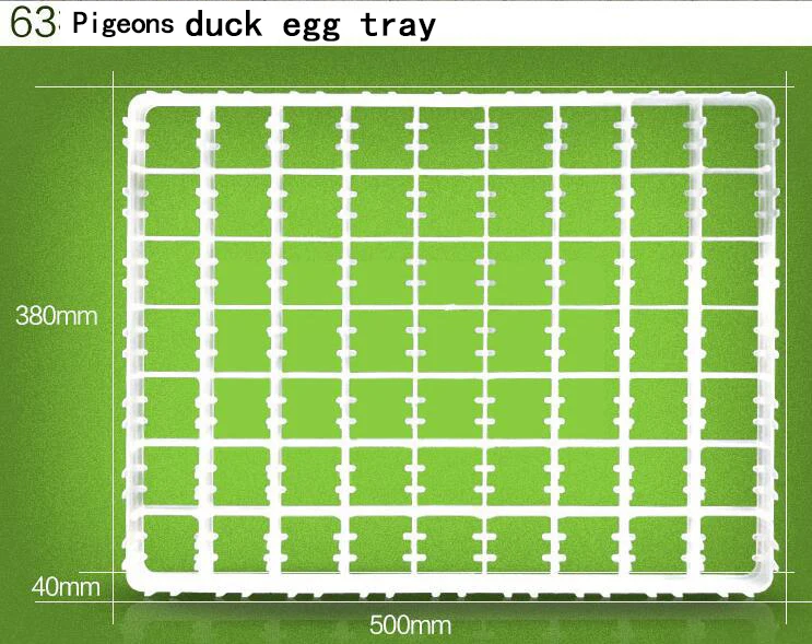 Инкубатор лоток для яиц для курицы, перепелиных птиц, гуся, голубей, запчасти для яиц, аксессуары для птицеводства, Универсальный Прочный Пластик для птицы - Цвет: 63