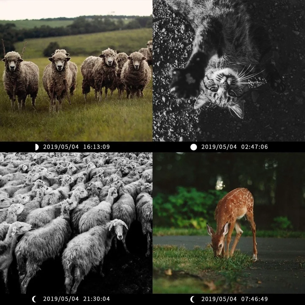 81crXt3C6kL._AC_SL1500_