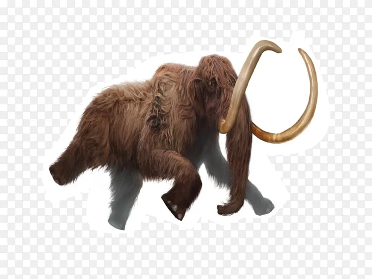非洲大象猛犸象elephantidae电子邮件列车png图片素材免费下载 图片编号 Png素材网