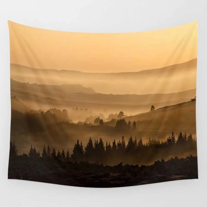 4091080172_678160858