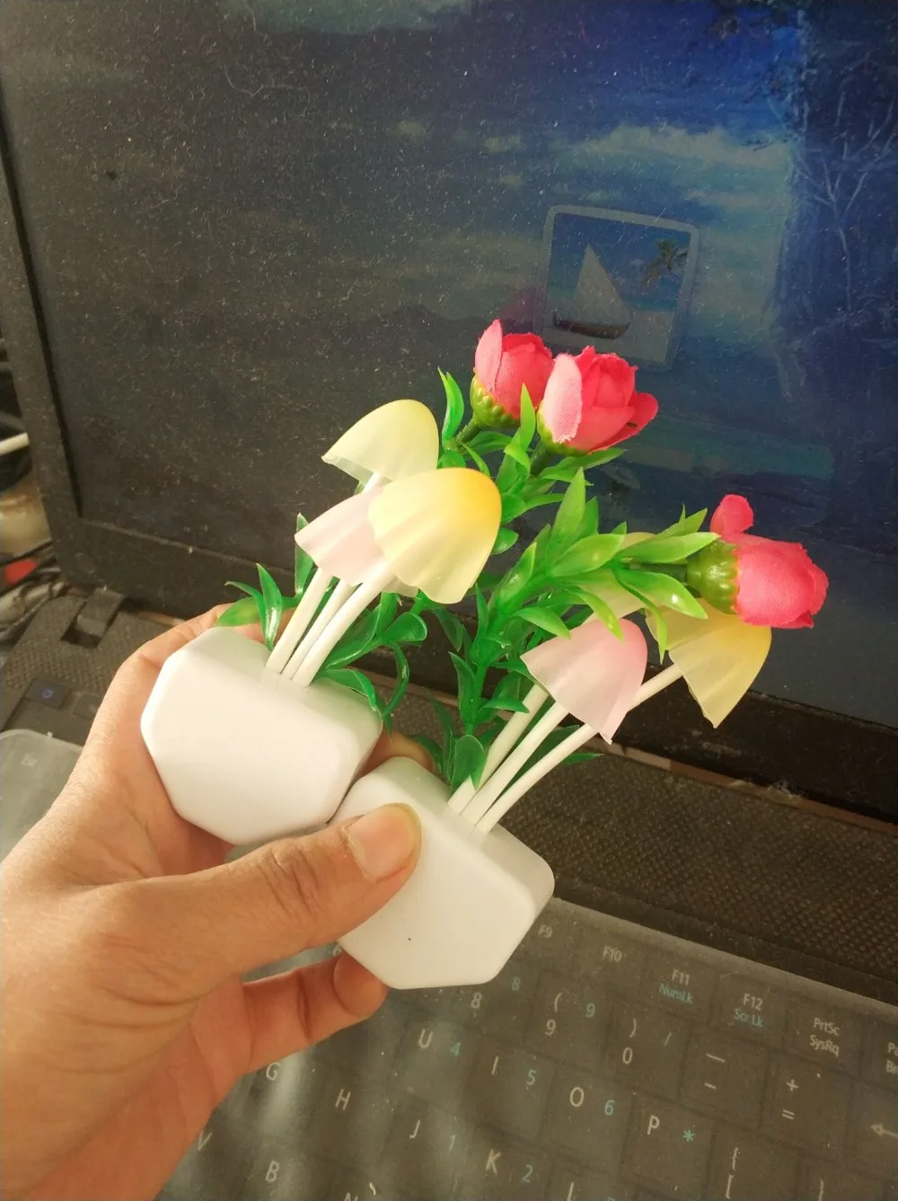 TIM图片20191228194158