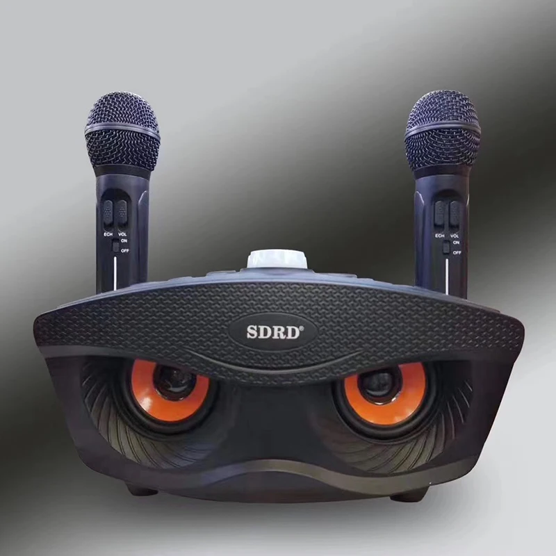 SD306 Dual Bluetooth Speaker sd306 karaoke speaker