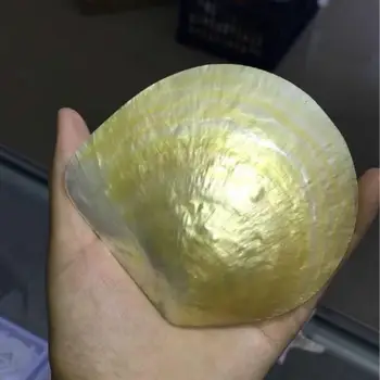 

Yellow natural pearl shell crafts Scrapping plate Natural Craft Shell Big Scallops Aquarium Fish Tank Accessories Wedding Decor