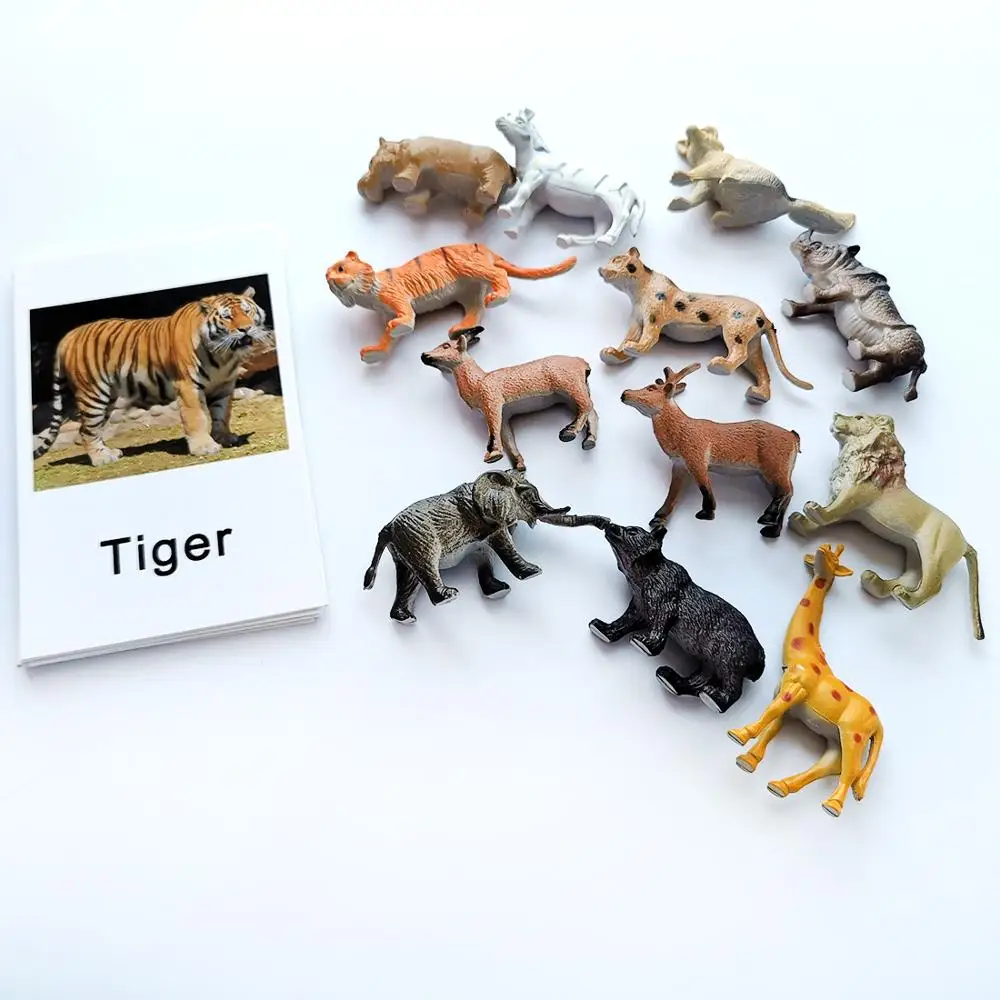 24Pcs/Set Montessori baby Learning English Animals Kids Card Early Educational practical life Toys For Children L2666F