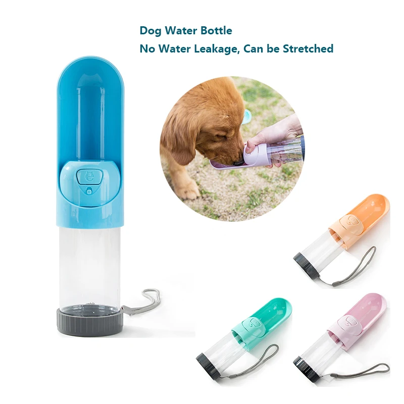 drop shipping dog products