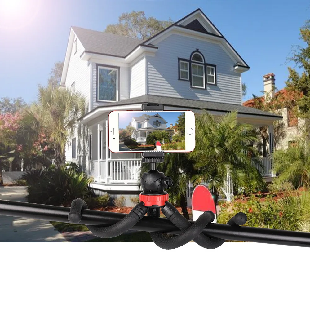 11827523626_552829472