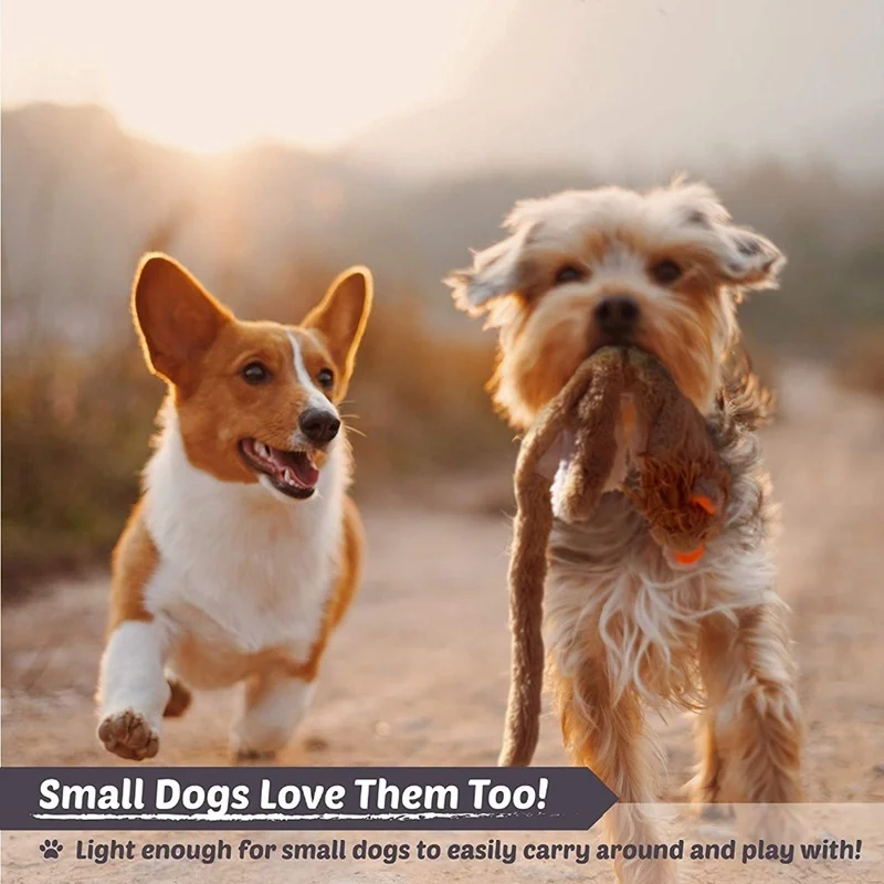 toys for dogs.jpg_.webp