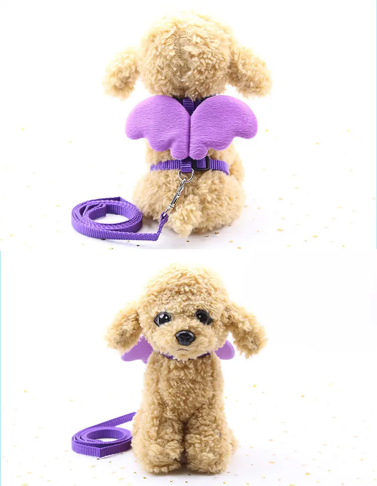 16 - 8760579989_1119372358