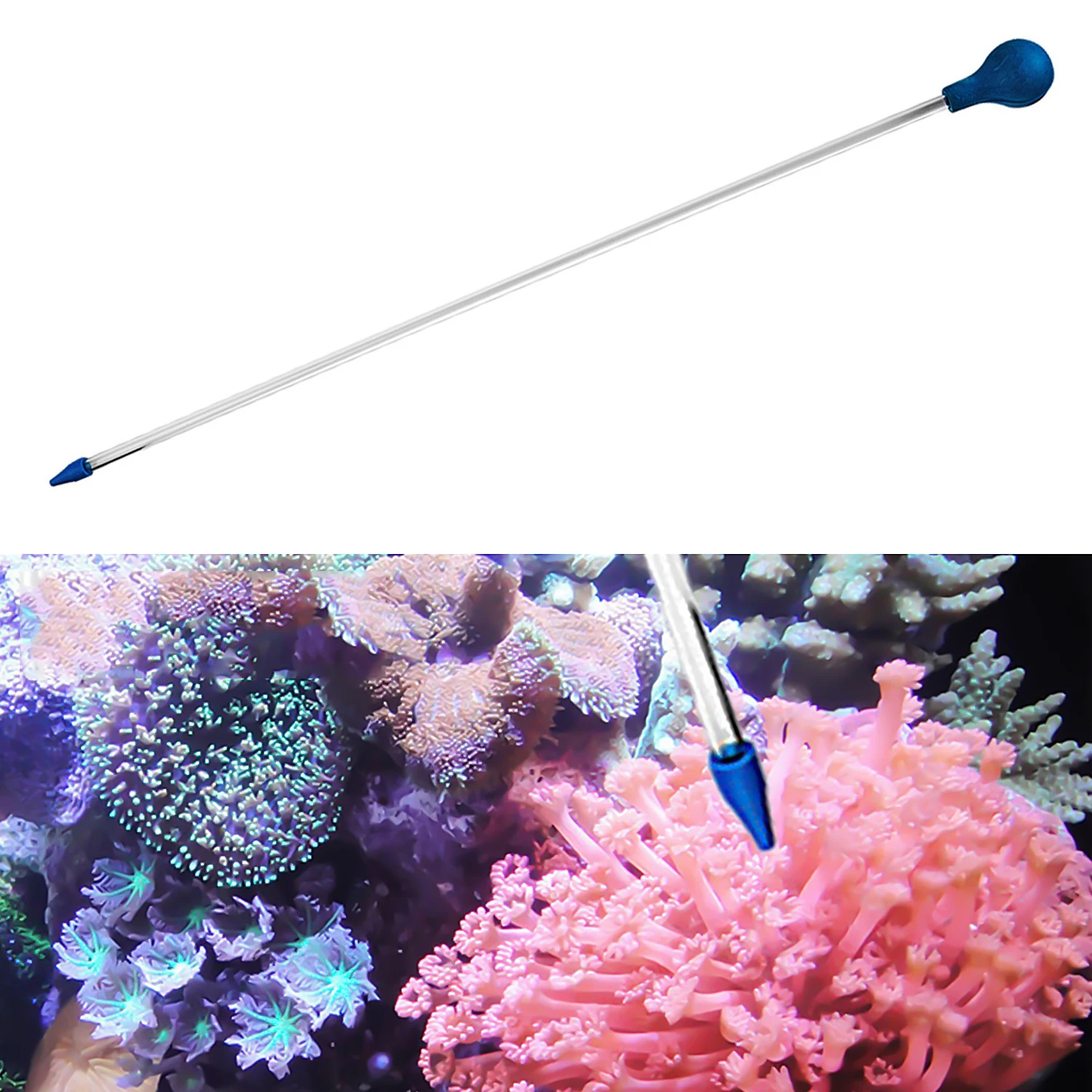 

Behogar Transparent Long Acrylic Coral Feeder Tube Liquid Fertilizer Aquarium Fish Tank Accessories for Marine Fish Reef 35cm