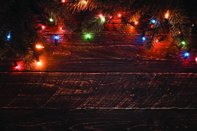 29 SHENGYONGBAO Vinyl Custom Photography Backdrops Prop Flower Wood Planks Christmas day theme Photo Studio Background DST-01 - Цвет: 29