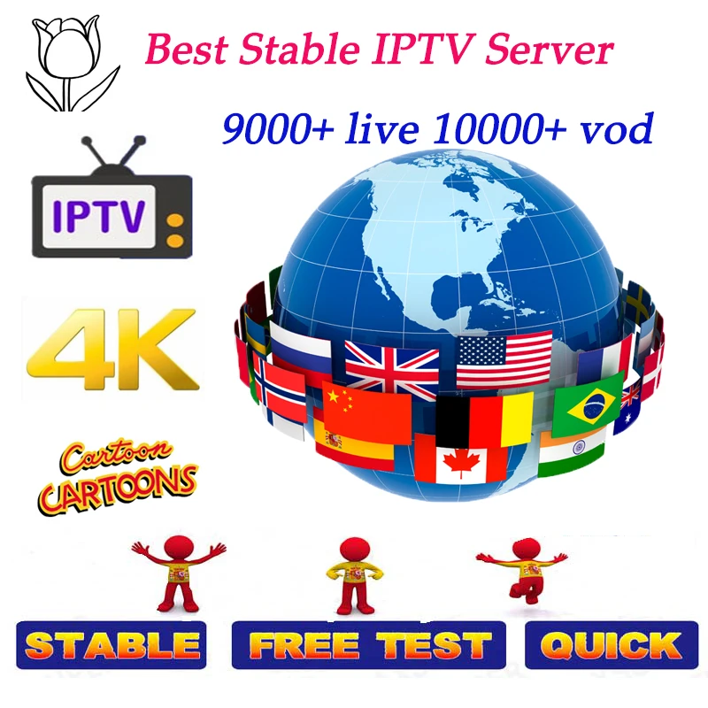 Suscripcion IP tv французский 12 месяцев Movist M3U код Enigma Премиум поддержка для Android Smart PC Smart tv
