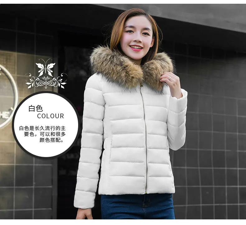 Cotton Coat Winter Korean-style New Style WOMEN'S Cotton Padded Clothing Women's Short Slim Fit Cotton-padded Jacket down J