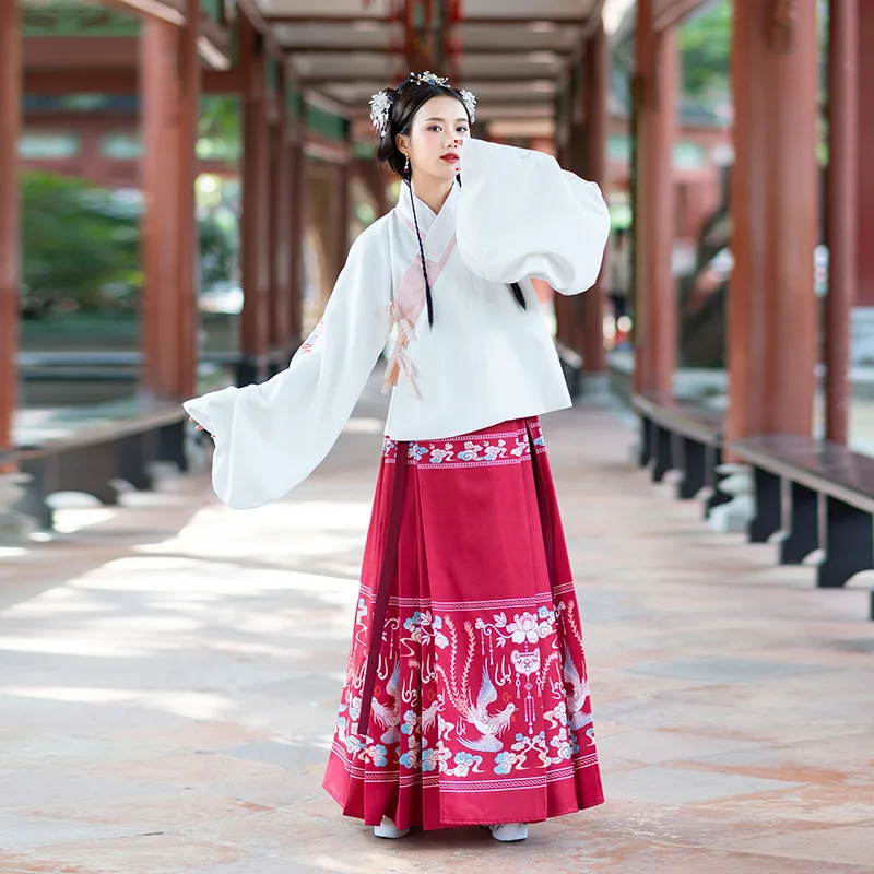 Новая мода Hanfu Женская юбка Феи Ретро ежедневное улучшение Hanfu Китайский стиль Одежда для выступлений Китайский народный танец костюм