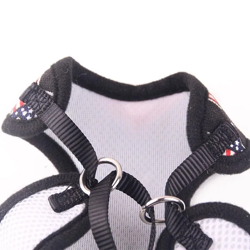 Breathable Dog Pet Harness and Leash Set Air Nylon Mesh Puppy Small Dogs Cat Clothes Accessories Puppy Vest Net For Chihuahua