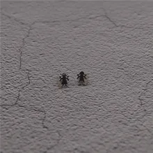 925 Стерлинговое Серебро Испания серьги в виде животных модные ювелирные изделия для женщин