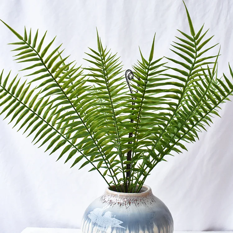 

Spray Color 14 Fork Extra Large to Sago Cycas Handfeel Fern Plant Wall with Wood Model Green Plant Sue Sago Cycas