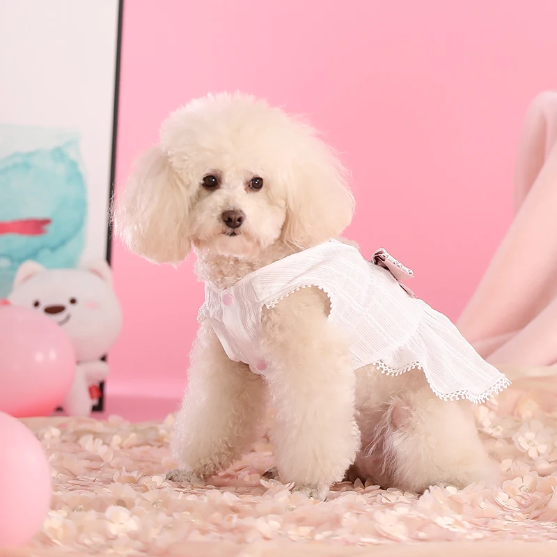 HOOPET Clothes For Small Dogs Princess Dress For Dogs Lace Tullle Pet Dress York Dog Clothes Cat Bargains Comfortable Dog