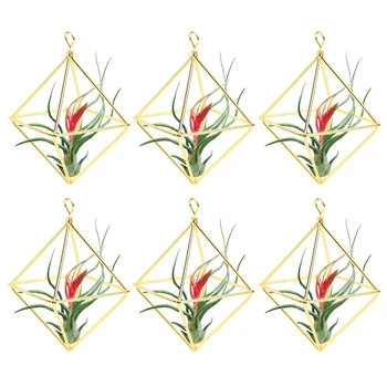 

6 Packs Air Plant Stand, Modern Geometric Metal Flower Stand, Minimalist, Convenient Home, Office and Wedding Decoration