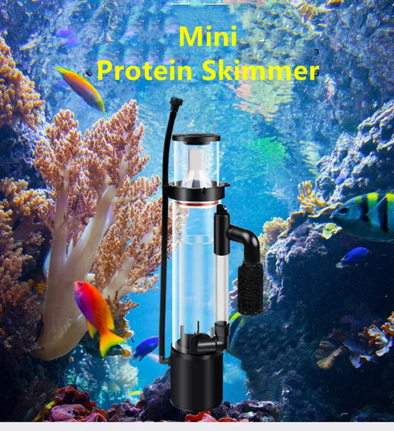 protein foam in fish tank