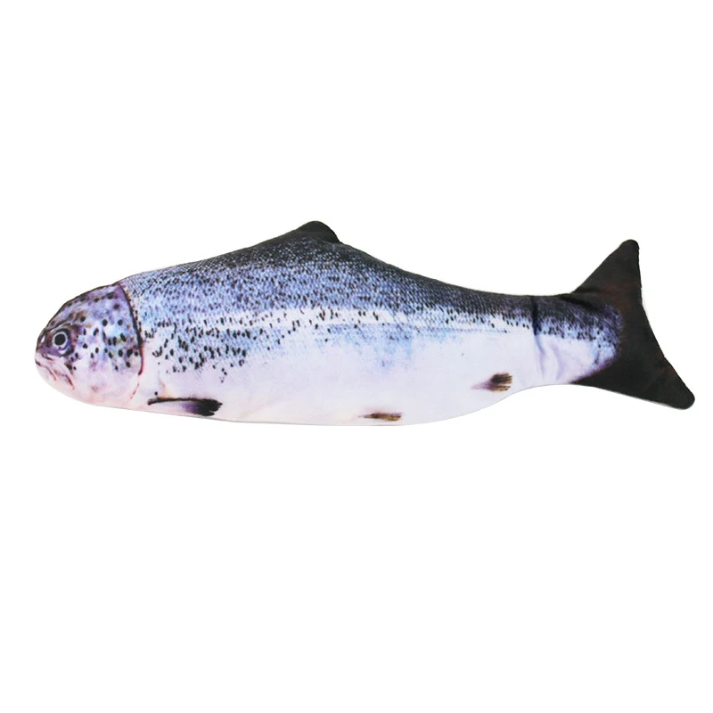 Salmon