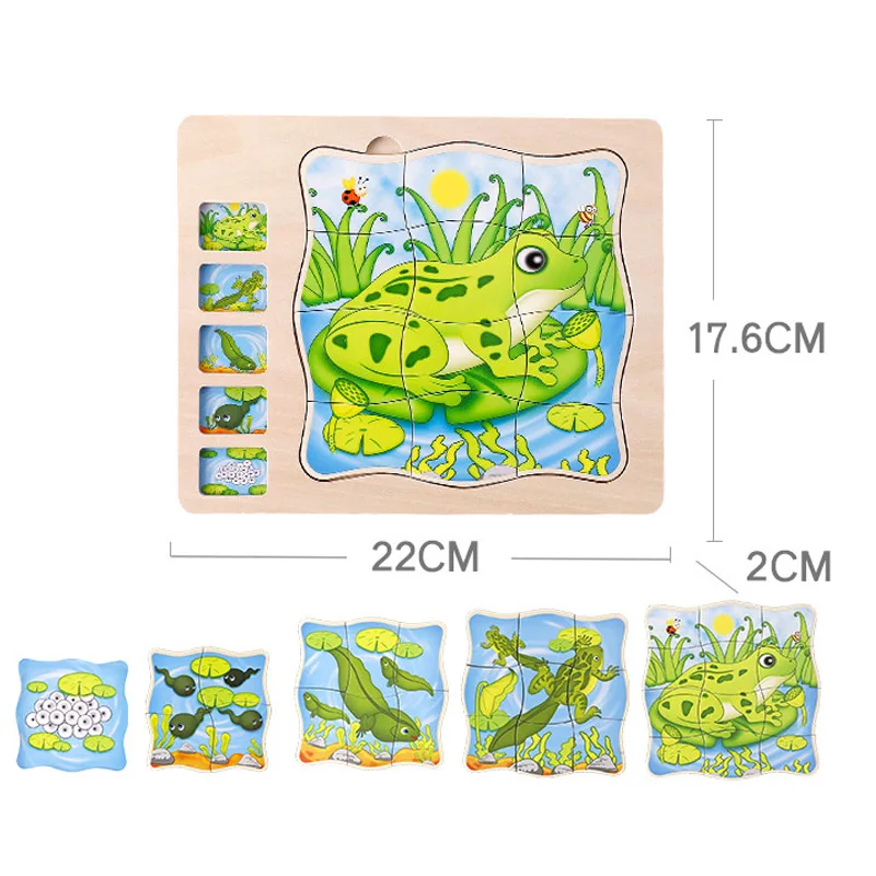 Frog Пять лет многослойное платье для маленьких мальчиков и девочек человеческого тела Структура головоломки для детей тела когнитивные просвещение образование деревянные головоломки - Цвет: Frog